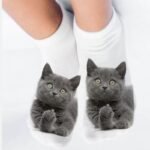 1-5-paires-chaussettes-courtes-en-coton-dessin-anim-3D-chat-chiot-chien-Animal-chaussettes-Harajuku-2.jpg_640x640-2