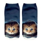 1-5-paires-chaussettes-courtes-en-coton-dessin-anim-3D-chat-chiot-chien-Animal-chaussettes-Harajuku-2.jpg_640x640-2