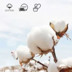 kf-S7c81b15f49aa405a9c2b966ffb99b581o