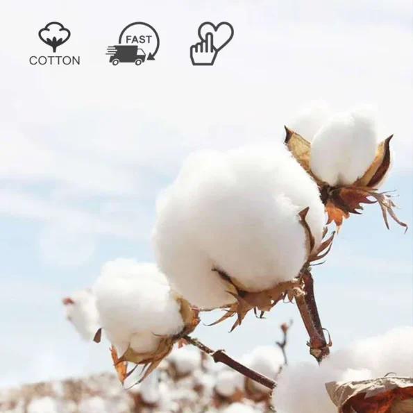 kf-S7a32700ac67f4821aa061f8efd6fc35f5