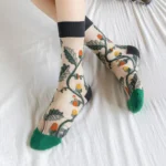 Lot de 5 paires de chaussettes femme transparentes à motifs